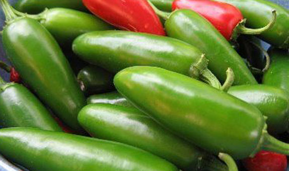 Bullet Chilli – Jalapeño