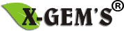 X-GEM Global Limited